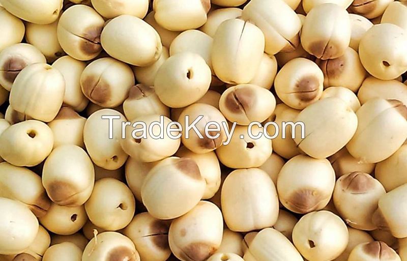 WHOLESALE PRODUCT - FROZEN LOTUS SEEDS - HIGH QUALITY from VIETNAM