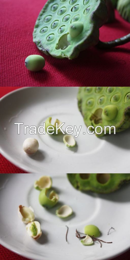 WHOLESALE PRODUCT - FROZEN LOTUS SEEDS - HIGH QUALITY from VIETNAM