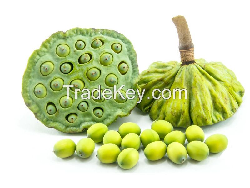 WHOLESALE PRODUCT - FROZEN LOTUS SEEDS - HIGH QUALITY from VIETNAM