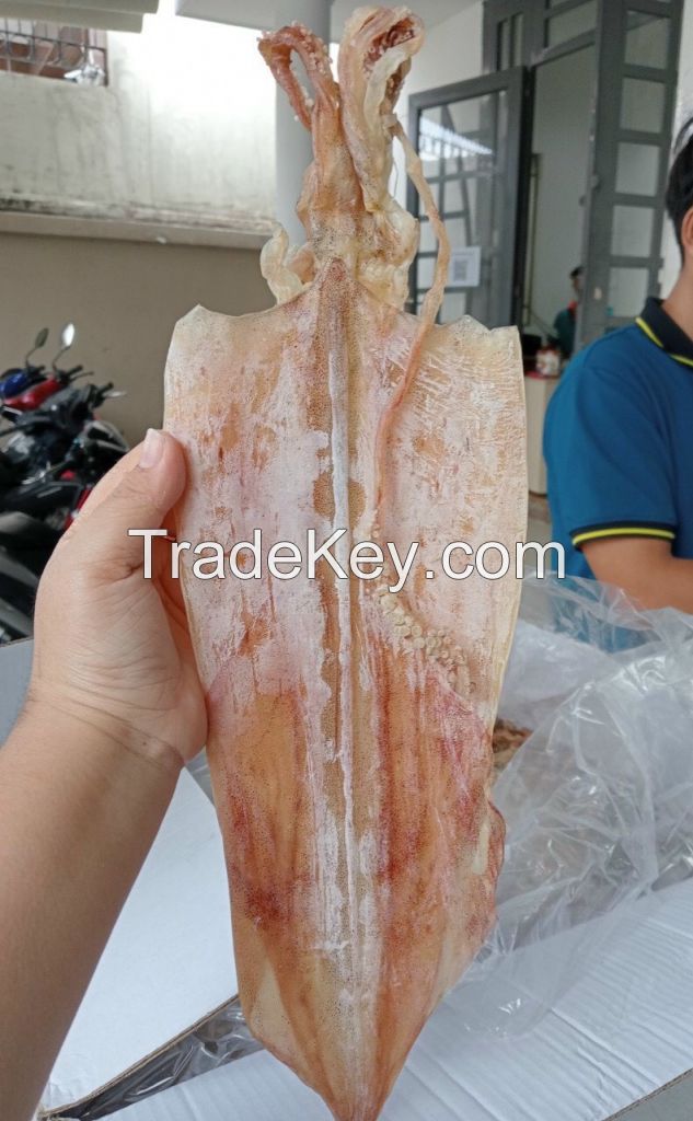 DRIED SQUID/ 100% FROM SEAFOOD IN VIETNAM/ KEEP FRESHNESS FOR YOU