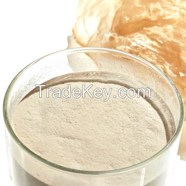 VIETNAMESE CARRAGEENAN FOR THICKENING AND GELLING IN DAIRY 