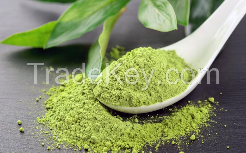 ORGANIC GREEN TEA POWDER PRODUCT / BEST PRODUCT from FRESH TEA LEAVES / HIGH QUALITY in VIETNAM