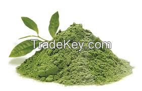 ORGANIC GREEN TEA POWDER PRODUCT / BEST PRODUCT from FRESH TEA LEAVES / HIGH QUALITY in VIETNAM