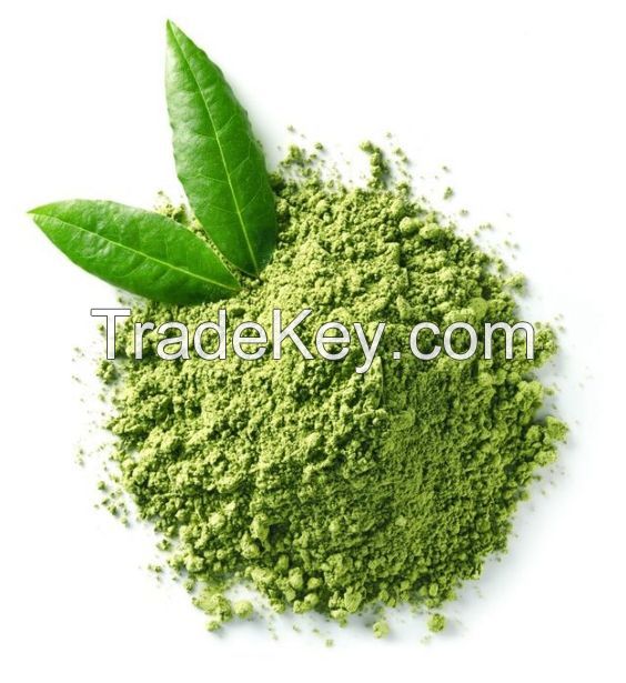 ORGANIC GREEN TEA POWDER PRODUCT / BEST PRODUCT from FRESH TEA LEAVES / HIGH QUALITY in VIETNAM