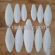 CUTTLEBONE product made in VIETNAM // PREMIUM QUALITY for PET // BEST PRICE in VIETNAM