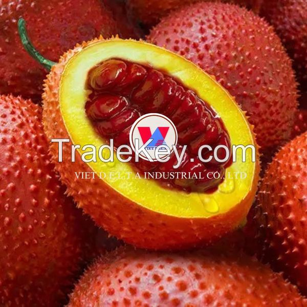 Wholesale GAC FRUIT POWDER with PREMIUM GAC FRUIT / GOOD FOR HEALTH / Made in Vietnam