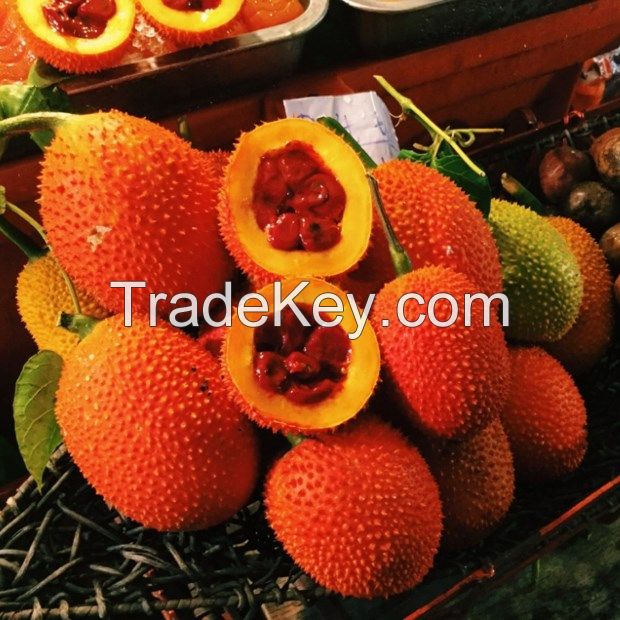 HIGH-QUALITY GAC FRUIT POWDER NATURAL ANTIOXIDANT BOOST FROM VIETNAM IDEAL FOR HEALTH SUPPLEMENTS