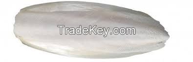 CUTTLEBONE product made in VIETNAM // PREMIUM QUALITY for PET // BEST PRICE in VIETNAM