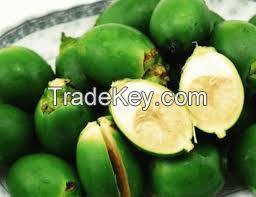 Premium Vietnamese Areca Fruit - Fresh and Authentic for Your Needs