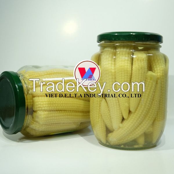 Bulk Vietnamese Canned Baby Corn - Perfect for Food Service and Retail