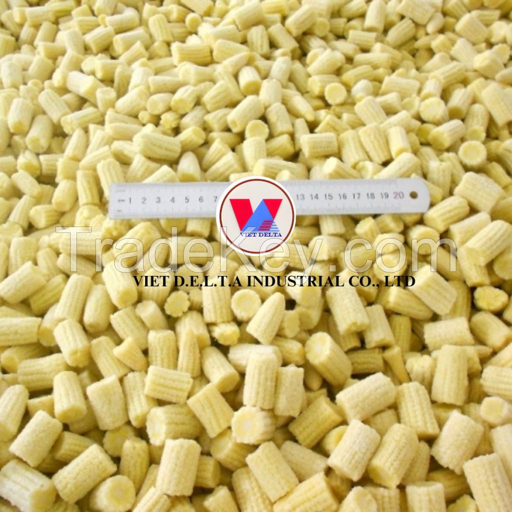 Bulk Vietnamese Canned Baby Corn - Perfect for Food Service and Retail