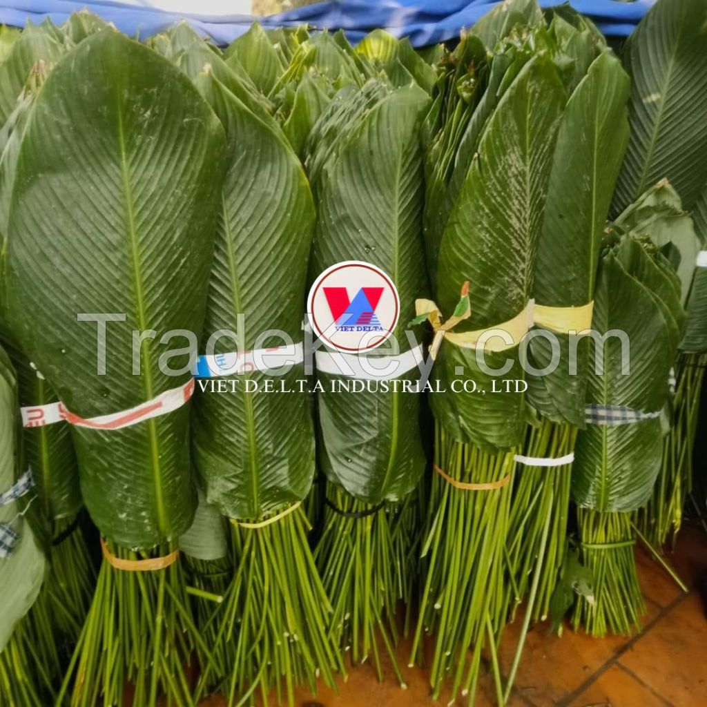 VIETNAMESE FROZEN DONG LEAVES - HIGH-QUALITY WRAPPING FOR TRADITIONAL ASIAN DISHES