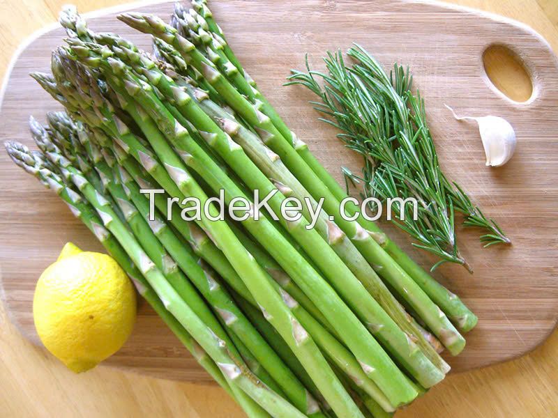 READY TO COOK FROZEN ASPARAGUS // FRESH & FLAVORFUL FOR DELECIOUS MEAL // GOOD PRICE FOR YOU FROM VIETNAM