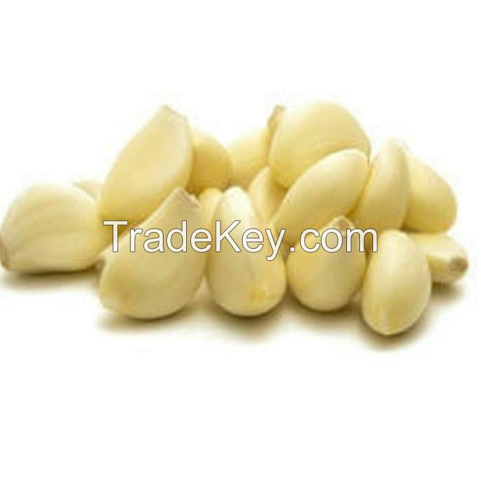 GOOD PRICE FOR YOU PEELED GARLIC MADE IN VIETNAM // HIGH QUALITY FROM NATURAL // THE BEST CHOICE FOR COOKING