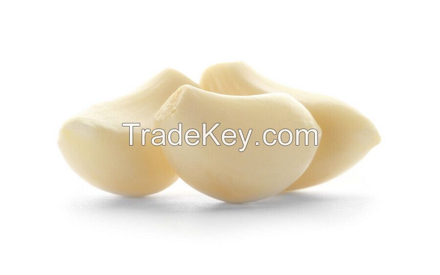 GOOD PRICE FOR YOU PEELED GARLIC MADE IN VIETNAM // HIGH QUALITY FROM NATURAL // THE BEST CHOICE FOR COOKING