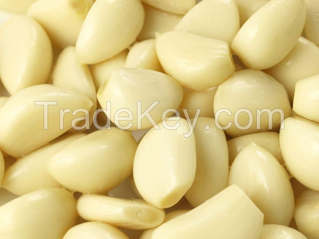 GOOD PRICE FOR YOU PEELED GARLIC MADE IN VIETNAM // HIGH QUALITY FROM NATURAL // THE BEST CHOICE FOR COOKING