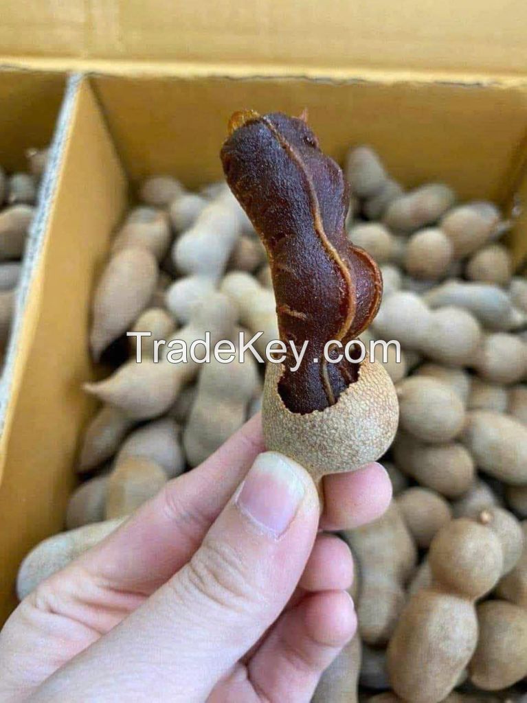 HIGH QUALITY VIETNAM TAMARIND PUREE - RICH IN NATURAL FLAVOR AND VITAMINS 