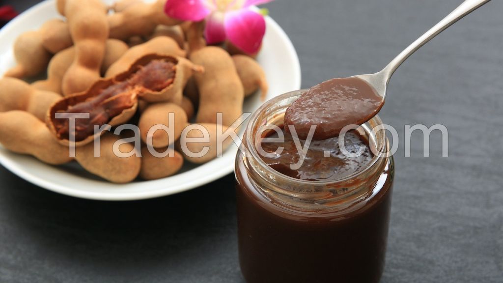 HIGH QUALITY VIETNAM TAMARIND PUREE - RICH IN NATURAL FLAVOR AND VITAMINS 