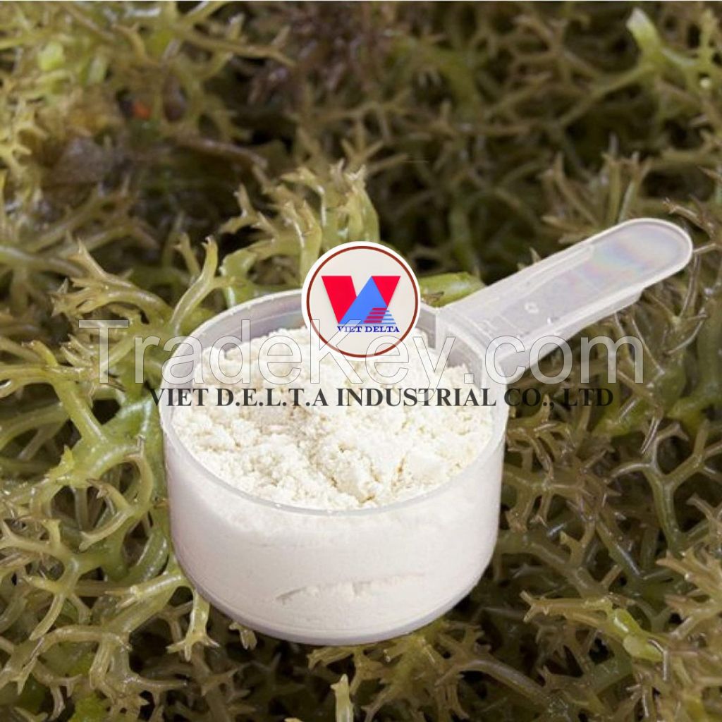 HIGH-QUALITY ORGANIC SEAMOSS POWDER FROM VIETNAM - NUTRIENT-RICH SEA VEGETABLES
