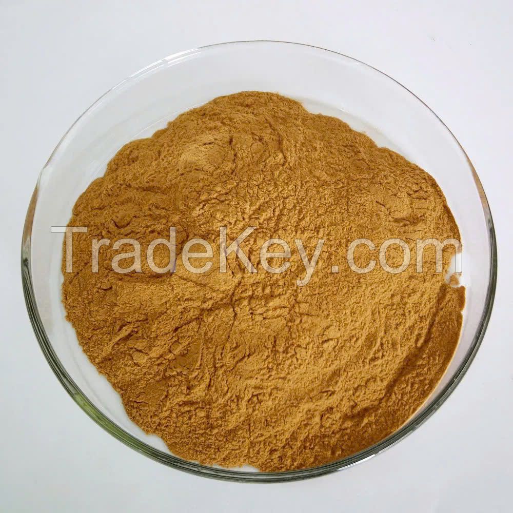 PREMIUM VIETNAM SEA CUCUMBER POWDER - NATURAL, HIGH QUALITY, ORGANIC SEAFOOD EXTRACT FROM SUSTAINABLE SOURCES