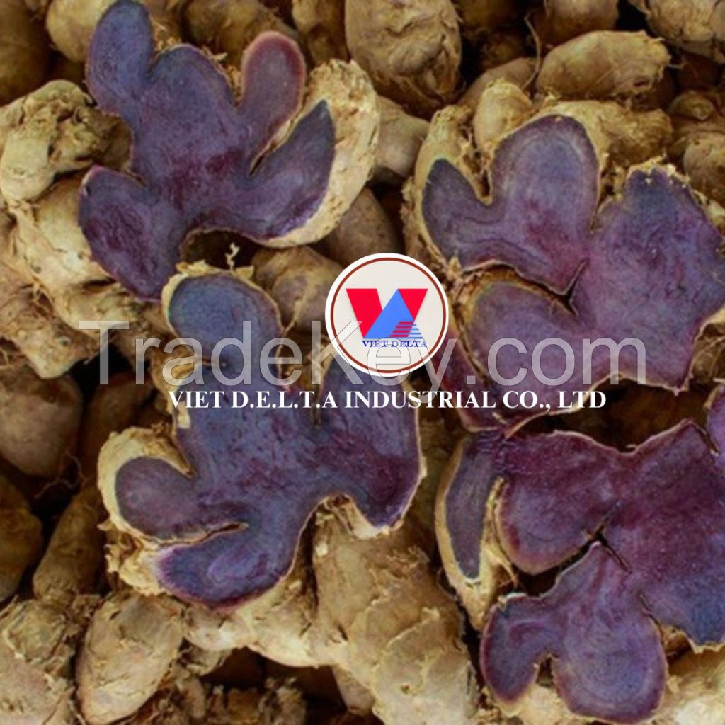 PREMIUM DRIED VIETNAM BLACK GINGER ROOT FOR HEALTHY TEA, COOKING