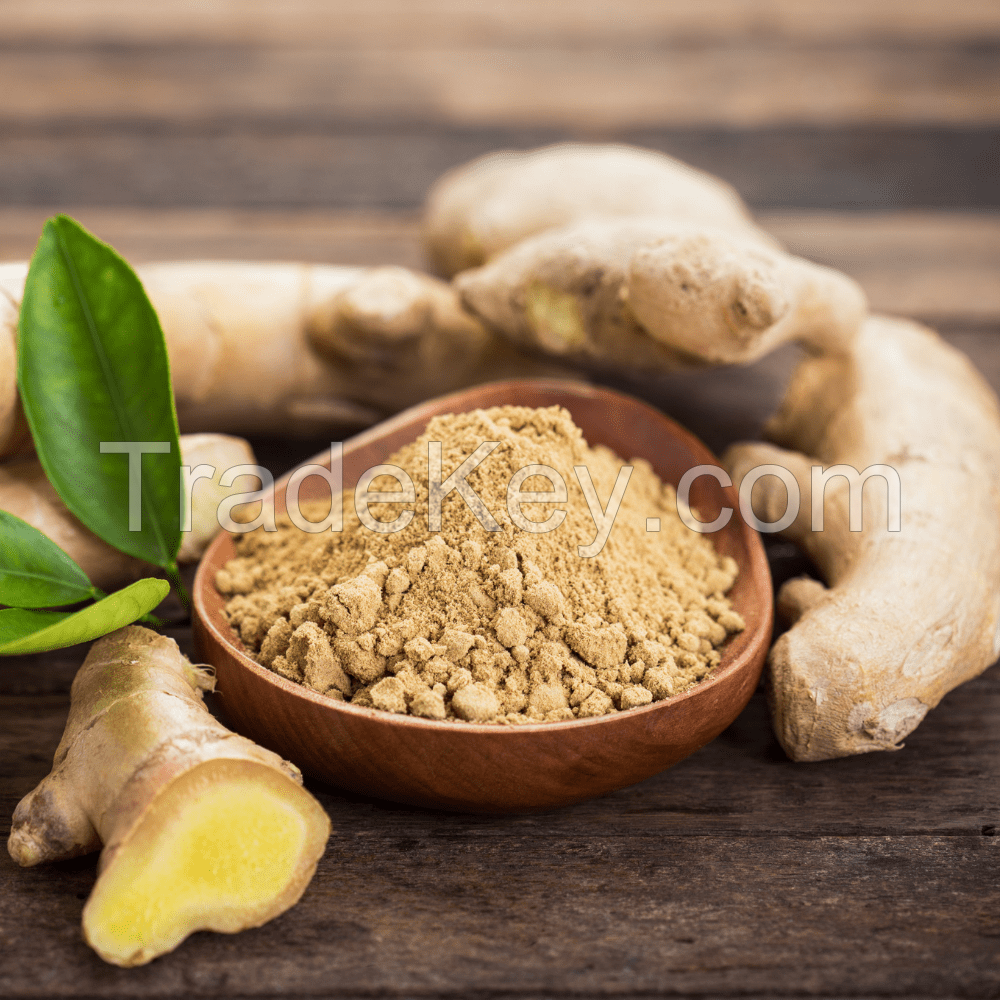 PURE GROUND GINGER POWDER / FRESHLY HARVESTED SPICE / MADE IN VIETNAM