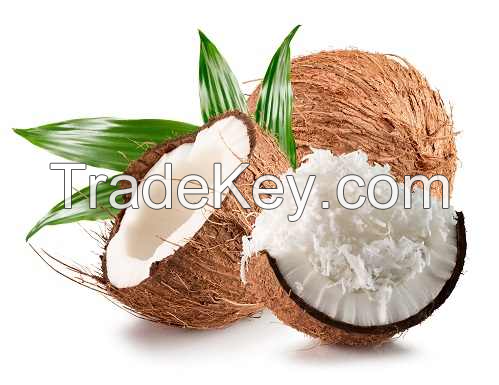 SWEET & NATURAL DESICCATED COCONUT / VIETNAMESE HARVEST / MADE IN VIETNAM