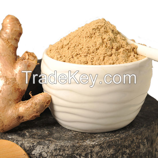 PURE GROUND GINGER POWDER / FRESHLY HARVESTED SPICE / MADE IN VIETNAM