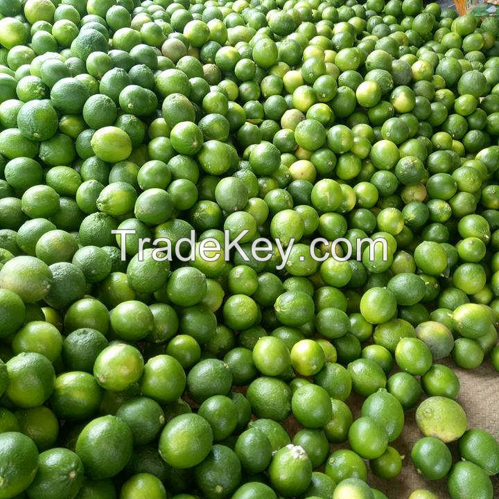 PREMIUM SEEDLESS LIME / BURSTING WITH FLAVOR, PERFECT FOR DRINKS AND DISHES / MADE IN VIETNAM