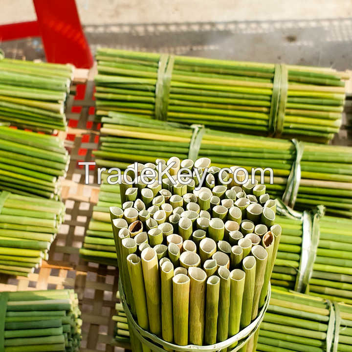 HANDMADE SEAGRASS DRINK STRAW / NATURE'S ALTERNATIVE TO PLASTIC / MADE IN VIETNAM