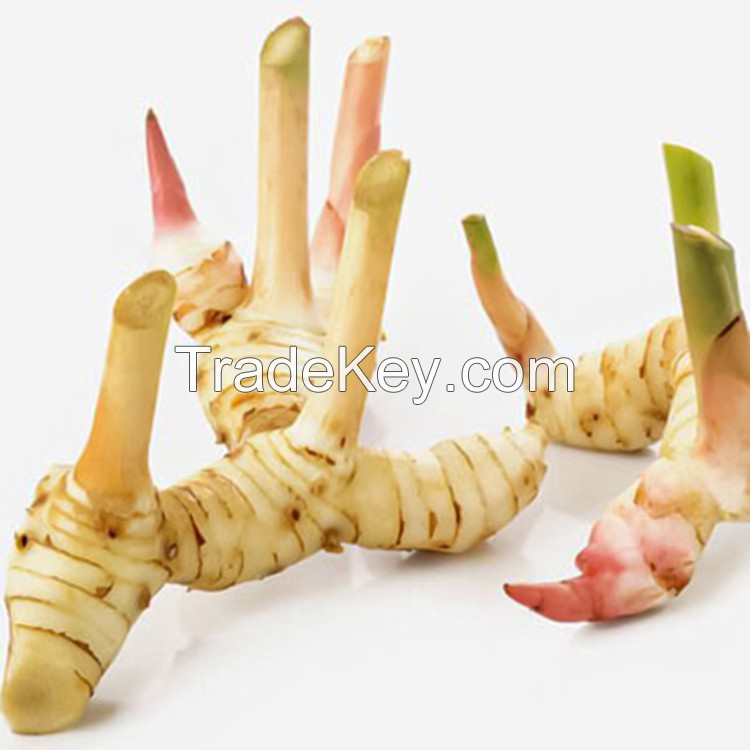 GOURMET GALANGAL POWDER / RICH &amp; AROMATIC SPICE / BEST VALUE FOR COOKING &amp; CURRIES / MADE IN VIETNAM