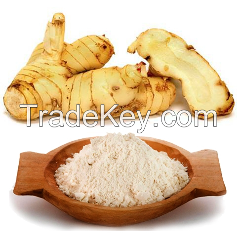 FINEST QUALITY GALANGAL POWDER / AUTHENTIC FLAVOR &amp; AROMA / COMPETITIVELY PRICED ONLINE / MADE IN VIETNAM