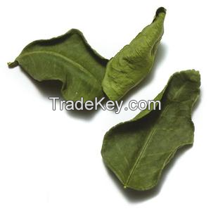 NATURALLY DRIED LIME LEAF / INTENSE CITRUS AROMA & PURE QUALITY / COST-EFFECTIVE BULK OPTIONS / MADE IN VIETNAM