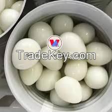 LUXURY BOILED QUAIL EGGS / READY-TO-EAT DELICACY / MADE IN VIETNAM