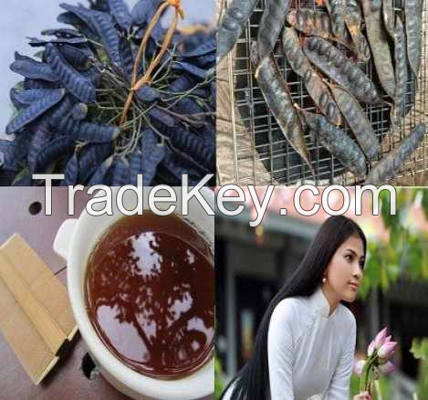 GLEDITSIA TRIACANTHOS LIQUID / PREMIUM BOTANICAL EXTRACT / MADE IN VIETNAM