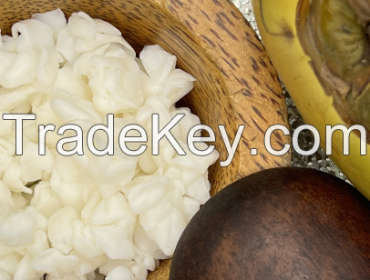 WHOLESALE RAW COCONUT JELLY FOR RESTAURANTS AND CAFES SMOOTH, REFRESHING, AND CHEWY TEXTURE / COST-EFFECTIVE