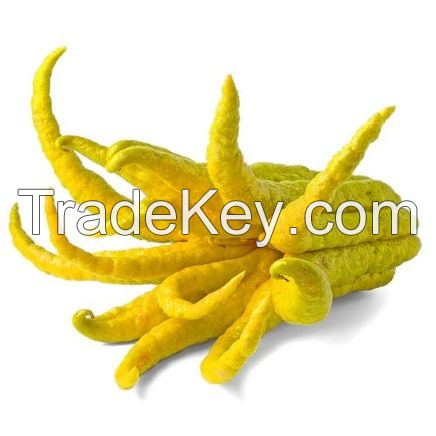 HAND-SELECTED BUDDHA HAND CITRUS FOR COCKTAILS AND CUISINE QUALITY GRADE AND HIGHLY FRAGRANT / SWEET CITRUS AROMA / VALUE-PACKED / MADE IN VIETNAM 