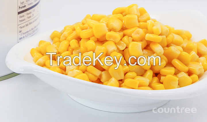 ALL-NATURAL SWEET CORN NUTS IN CAN / PURE GOODNESS / AFFORDABLE OPTION / MADE IN VIETNAM