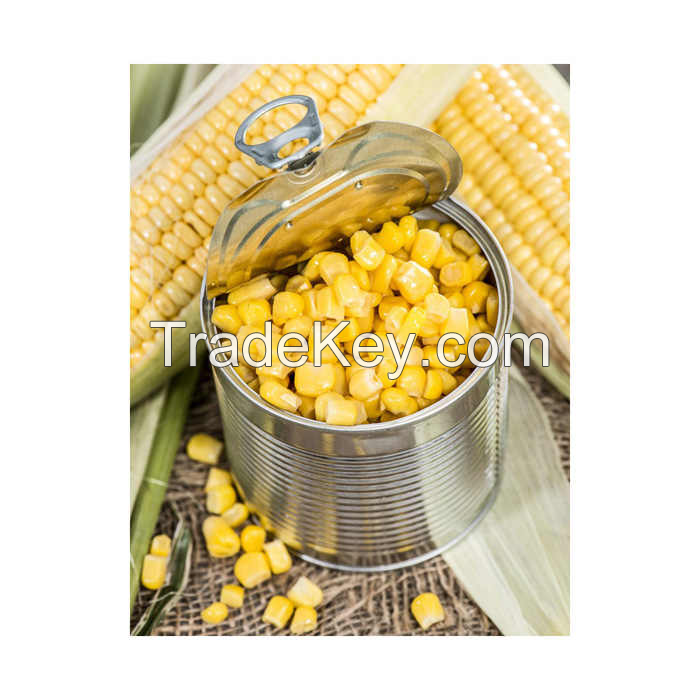 ORGANIC SWEET CORN NUTS IN CAN / PREMIUM QUALITY / BUDGET-FRIENDLY / MADE IN VIETNAM