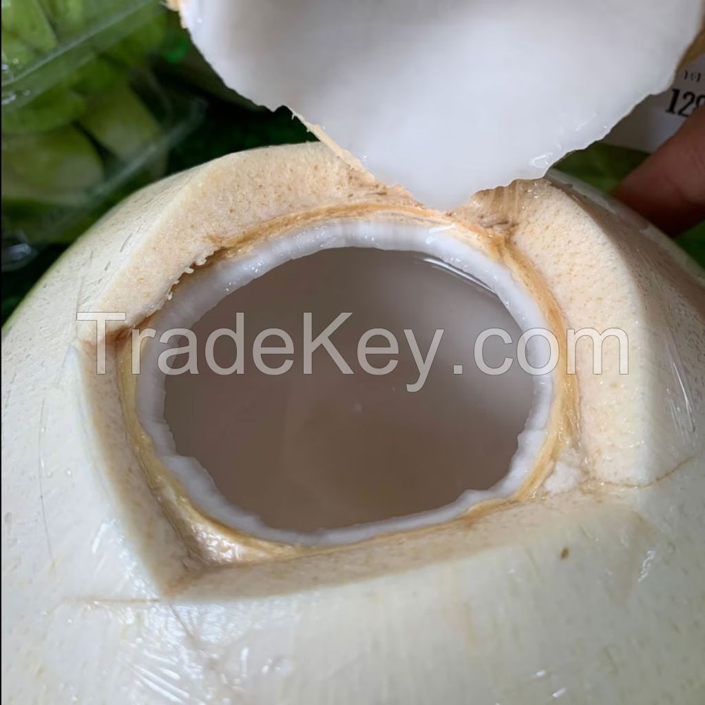 NATURAL DIAMOND CUT COCONUT / HEALTHY &amp; CRUNCHY / MADE IN VIETNAM