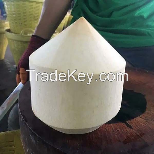 NATURAL DIAMOND CUT COCONUT / HEALTHY &amp; CRUNCHY / MADE IN VIETNAM