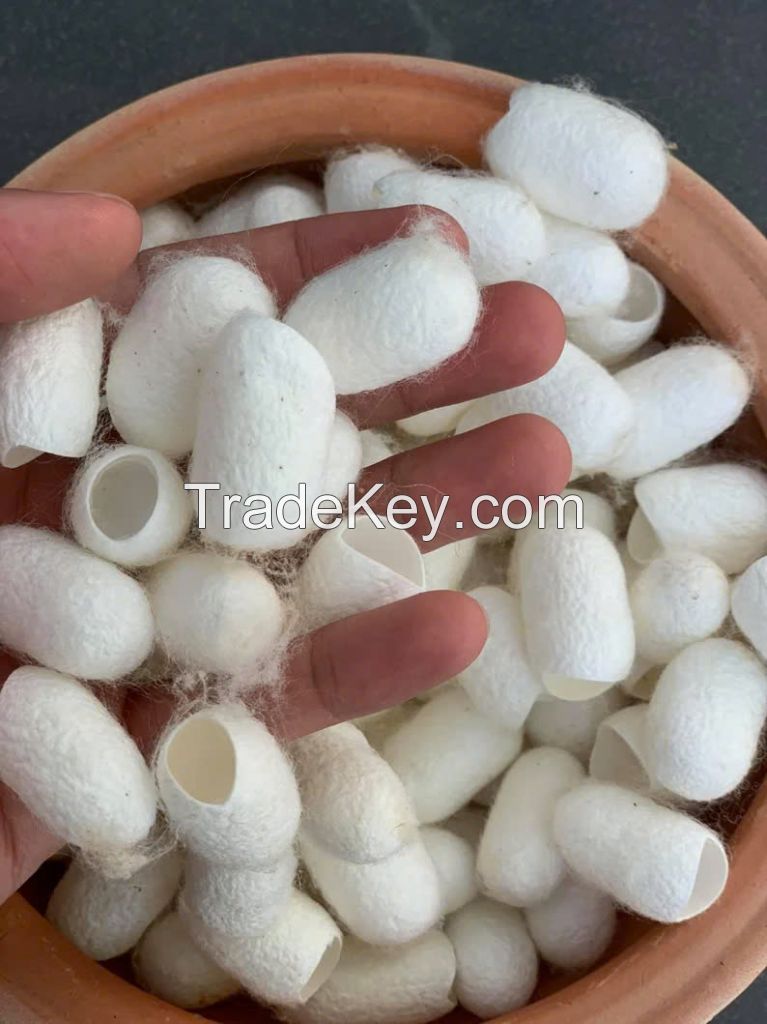 100% NATURAL SILK COCOONS / SOFTEN & REJUVENATE / MADE IN VIETNAM