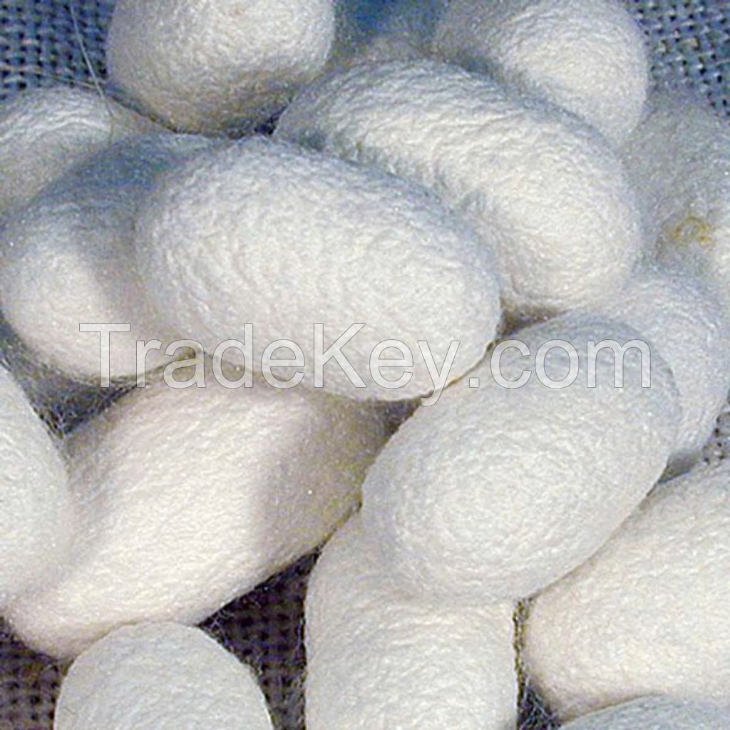 100% NATURAL SILK COCOONS / SOFTEN & REJUVENATE / MADE IN VIETNAM