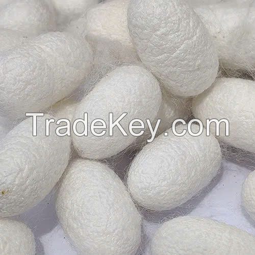 100% NATURAL SILK COCOONS / SOFTEN & REJUVENATE / MADE IN VIETNAM