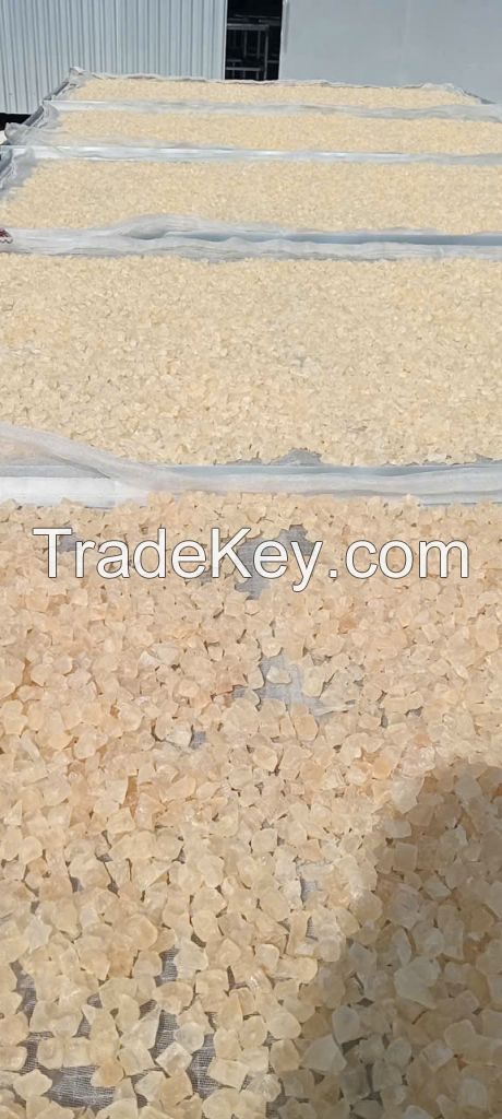 STERCULIA FOETIDA EXUDATE / PREMIUM QUALITY NATURAL GUM / MADE IN VIETNAM