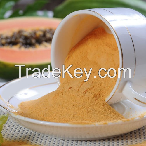 WHOLESALE PAPAYA POWDER / PREMIUM QUALITY & CHEMICAL-FREE / COST-EFFECTIVE BULK OPTIONS / MADE IN VIETNAM 