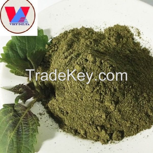 100% PURE PERILLA LEAF POWDER / NATURAL & PRESERVATIVE-FREE / BULK PRICING FOR LARGE ORDERS / MADE IN VIETNAM 