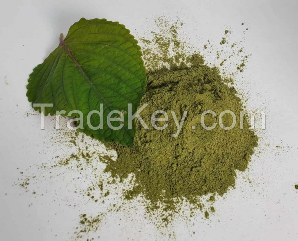 100% PURE PERILLA LEAF POWDER / NATURAL & PRESERVATIVE-FREE / BULK PRICING FOR LARGE ORDERS / MADE IN VIETNAM 