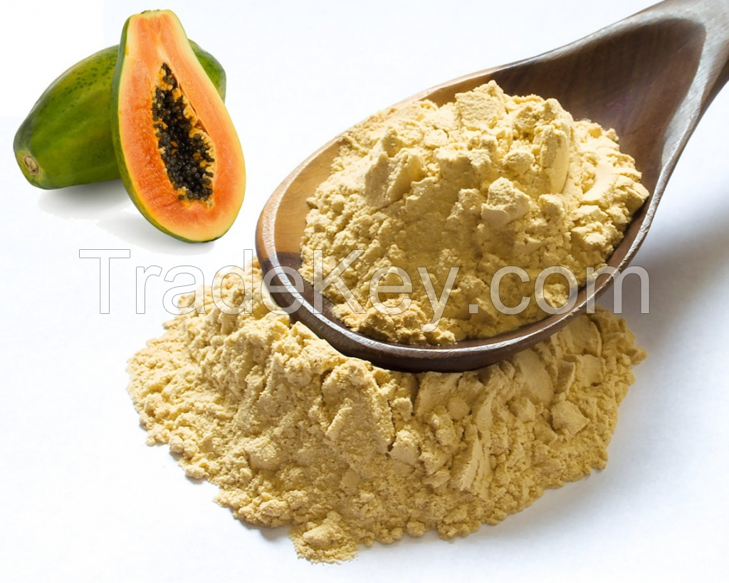 WHOLESALE PAPAYA POWDER / PREMIUM QUALITY & CHEMICAL-FREE / COST-EFFECTIVE BULK OPTIONS / MADE IN VIETNAM 