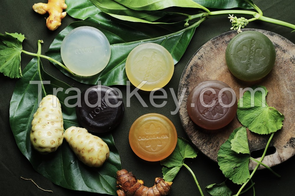 HIGH-QUALITY DRIED NONI SOAP / ORGANIC & CHEMICAL-FREE / AFFORDABLE BULK PRICE / MADE IN VIETNAM 